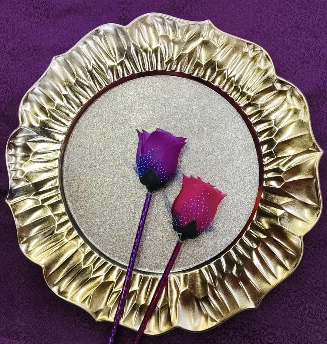 日用百货酒店用品塑料盘子婚庆盘子圣诞盘子 用品多功能家居必备详情图9