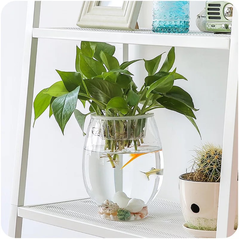 Simple dragon egg glass vase, transparent creative micro-landscape ecological bottle, hydroponic plant vase, home decorative item Application Scenario