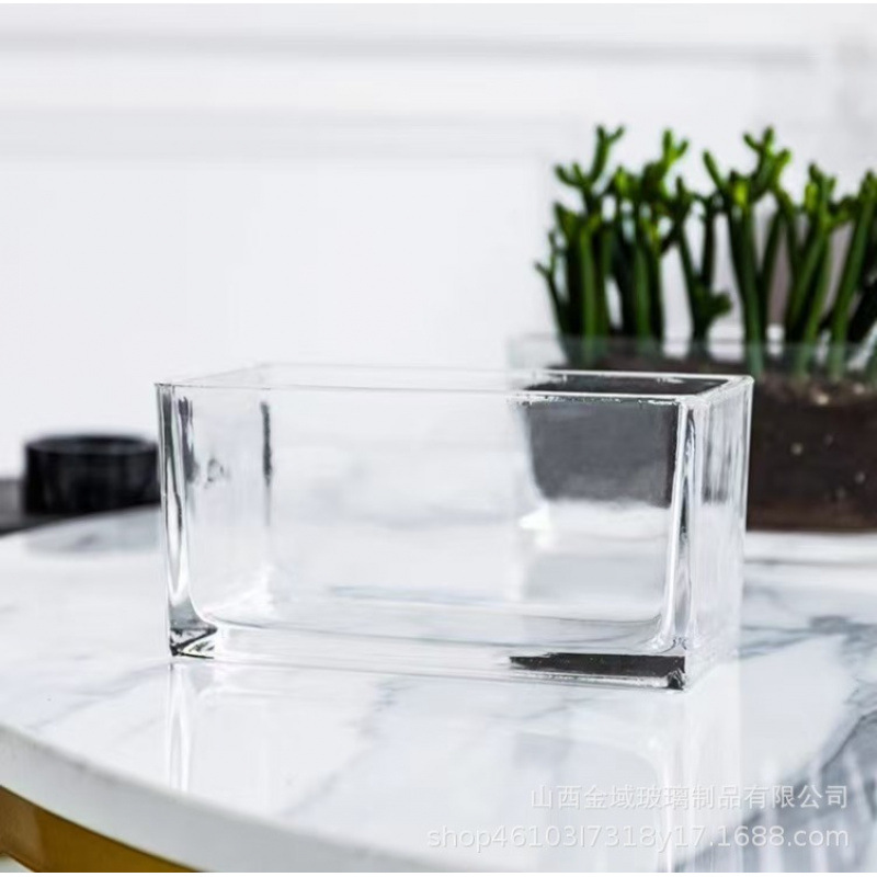 Simple desktop, transparent glass, long tank, fish tank, hydroponic flowerpot, oval shape, creative green plant hydroponic Specification drawing