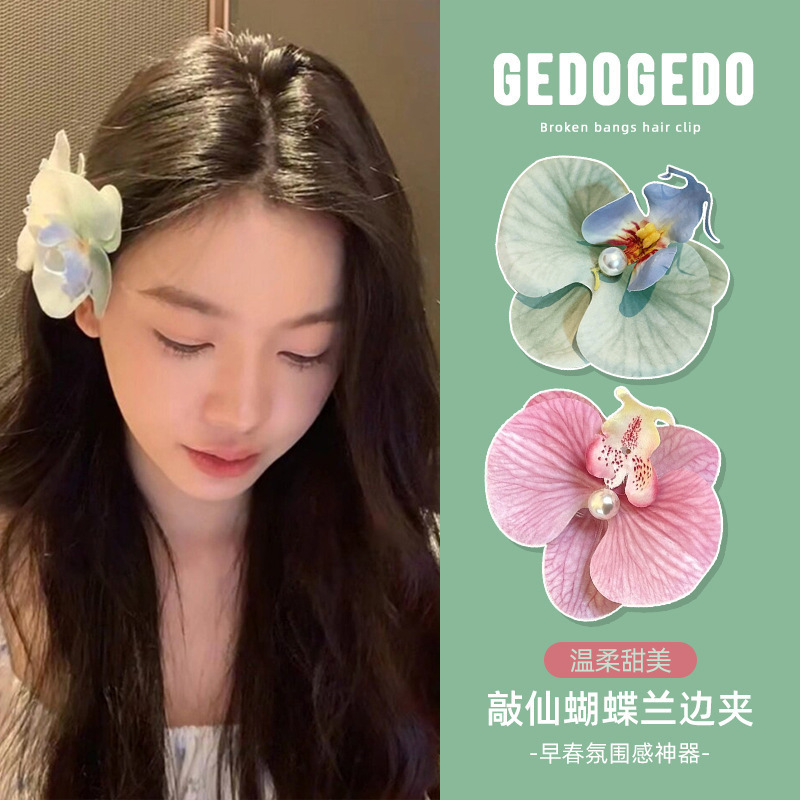 Early spring accessories: Phalaenopsis hair clip with a high-end feel, French flower side clip, women's seaside vacation hair accessory and headwear Specification drawing