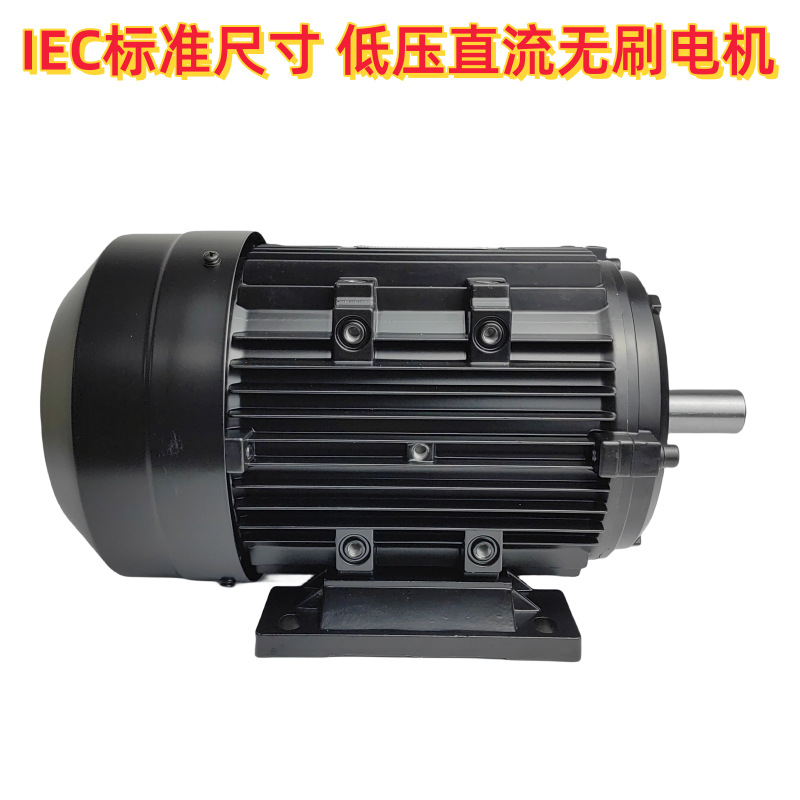 Gewa Y2 standard vertical and horizontal brushless motor transporter, 550W to 11KW low-voltage DC brushless motor details Picture
