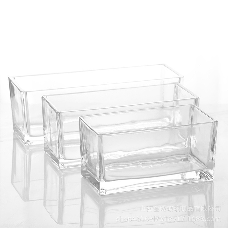 Simple desktop, transparent glass, long tank, fish tank, hydroponic flowerpot, oval shape, creative green plant hydroponic full figure