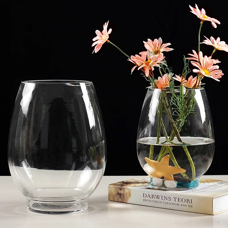 Simple dragon egg glass vase, transparent creative micro-landscape ecological bottle, hydroponic plant vase, home decorative item full figure