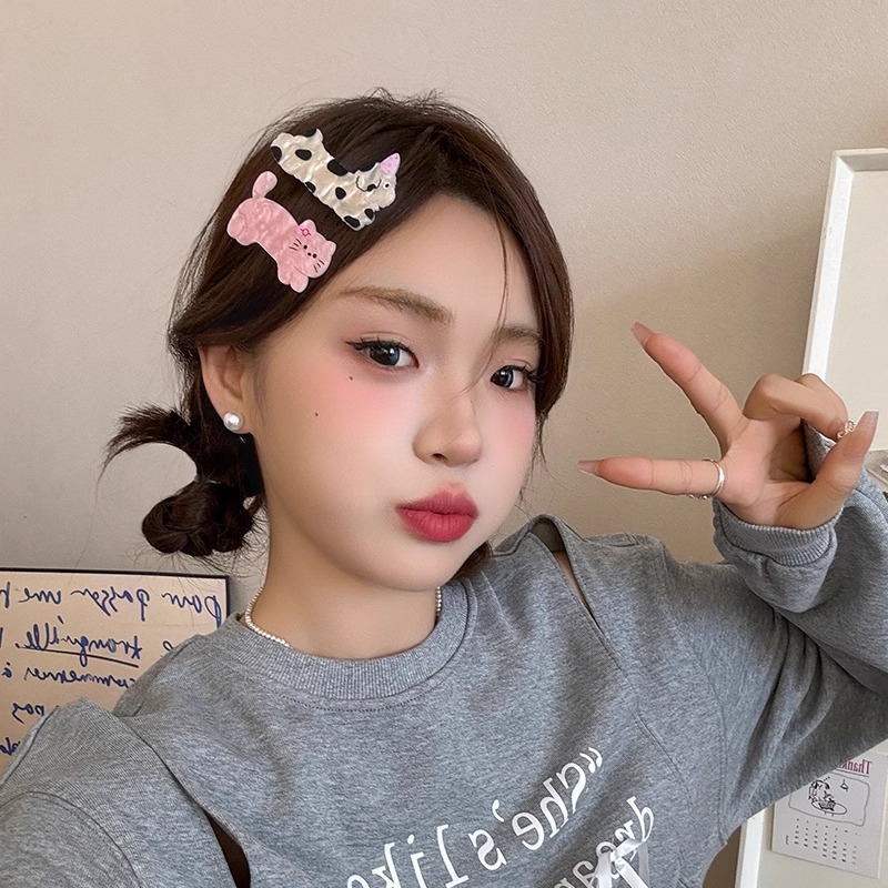 Cute cartoon cat and dog hair clips, women's side clips, ins headwear and hair accessories, high-end style duckbill clips, summer hair clips Application Scenario