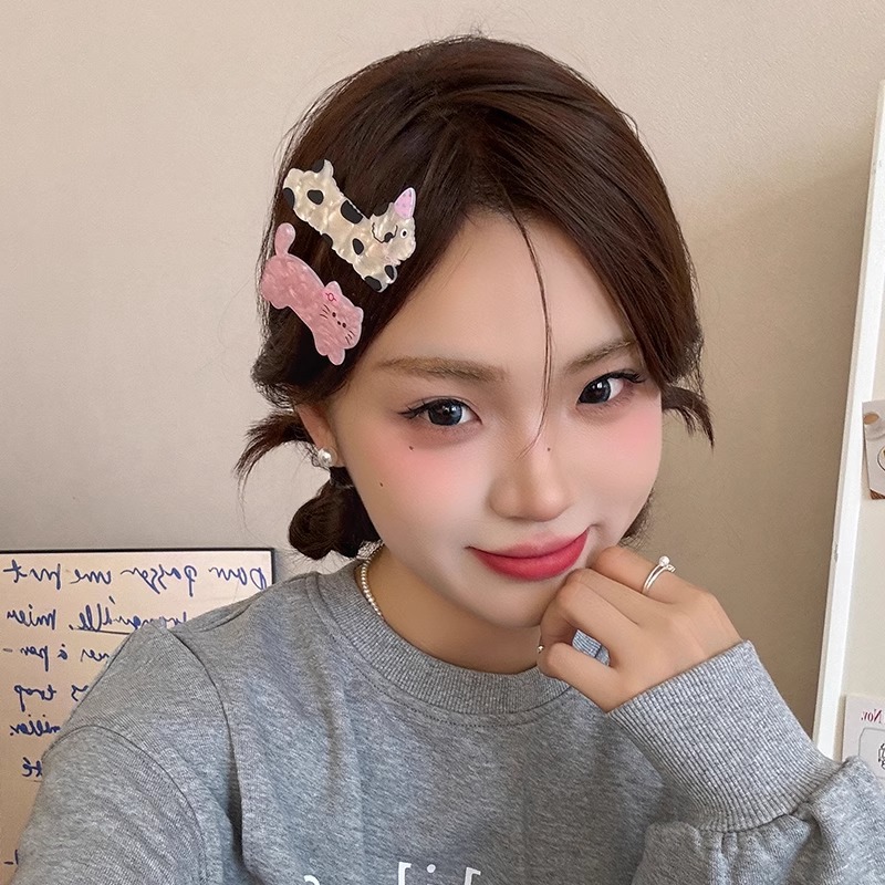 Cute cartoon cat and dog hair clips, women's side clips, ins headwear and hair accessories, high-end style duckbill clips, summer hair clips details Picture