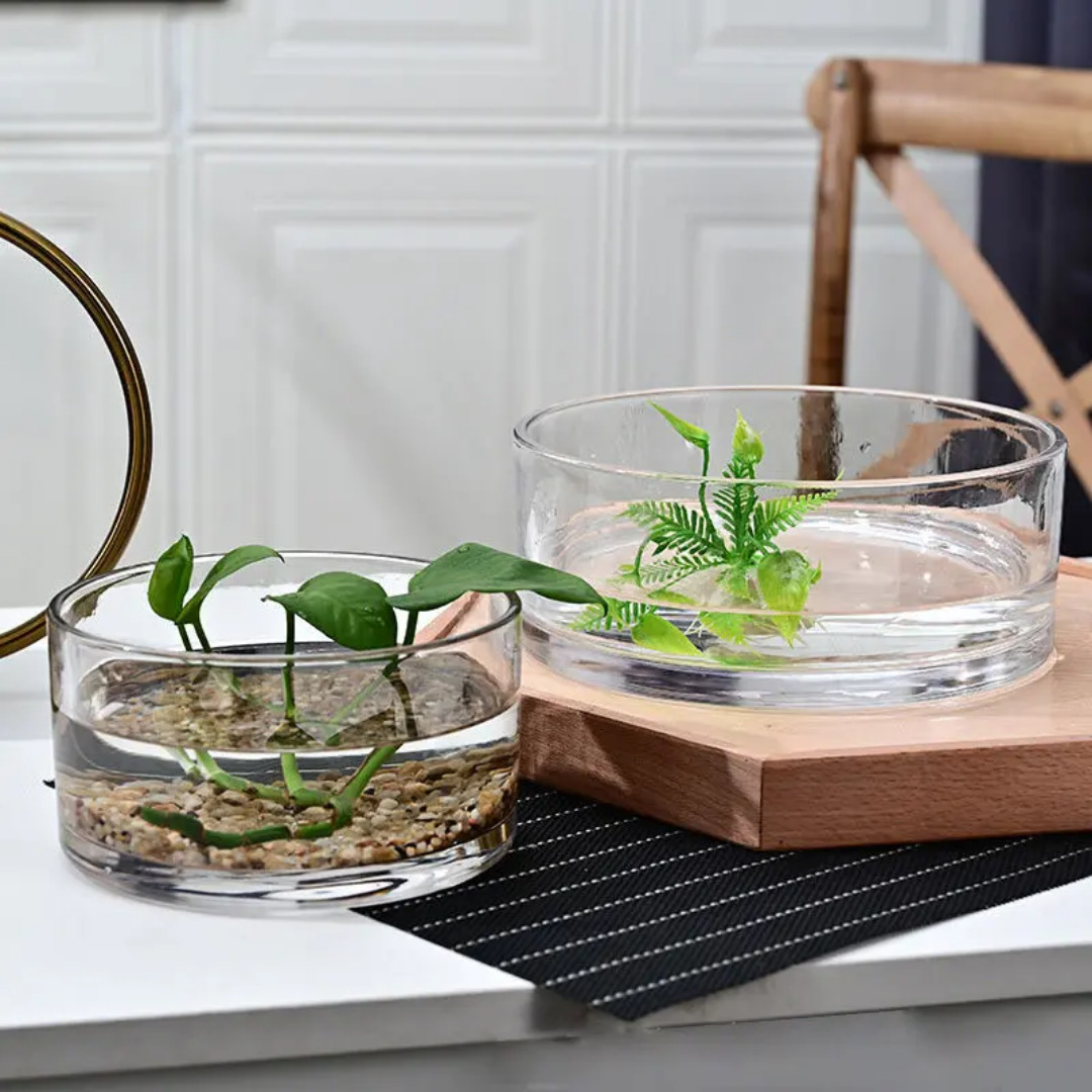 Factory wholesale of artificial glass pot accessories, green plants and succulents, Nordic round handle grass green plants, pothos potted glass tanks Specification drawing