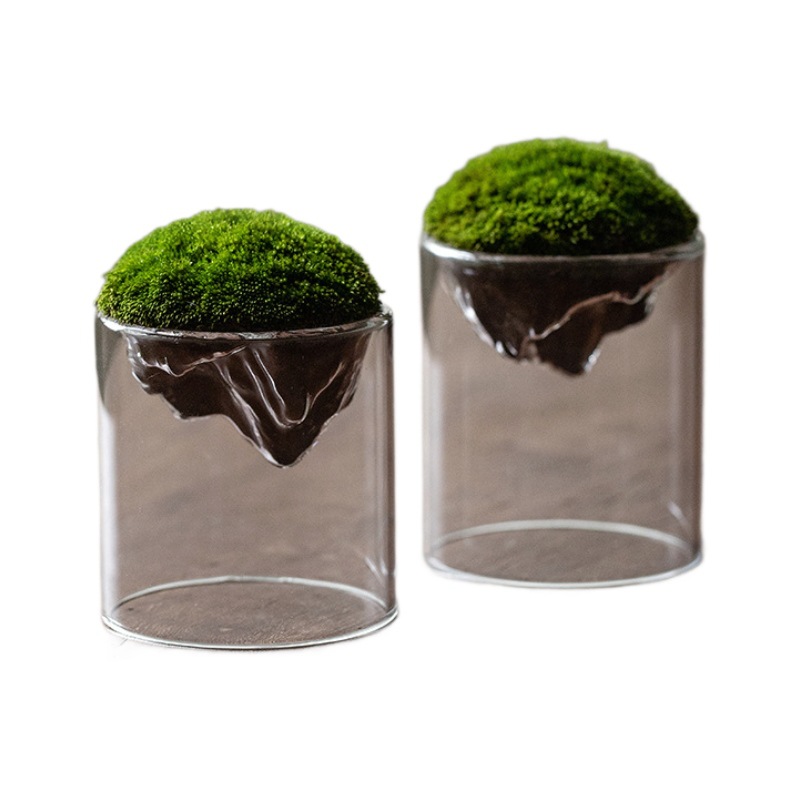 Transparent household distant mountain moss bottle, mini hydroponic plant bottle, thickened high borosilicate glass micro-landscape bottle for mountain viewing Item Picture