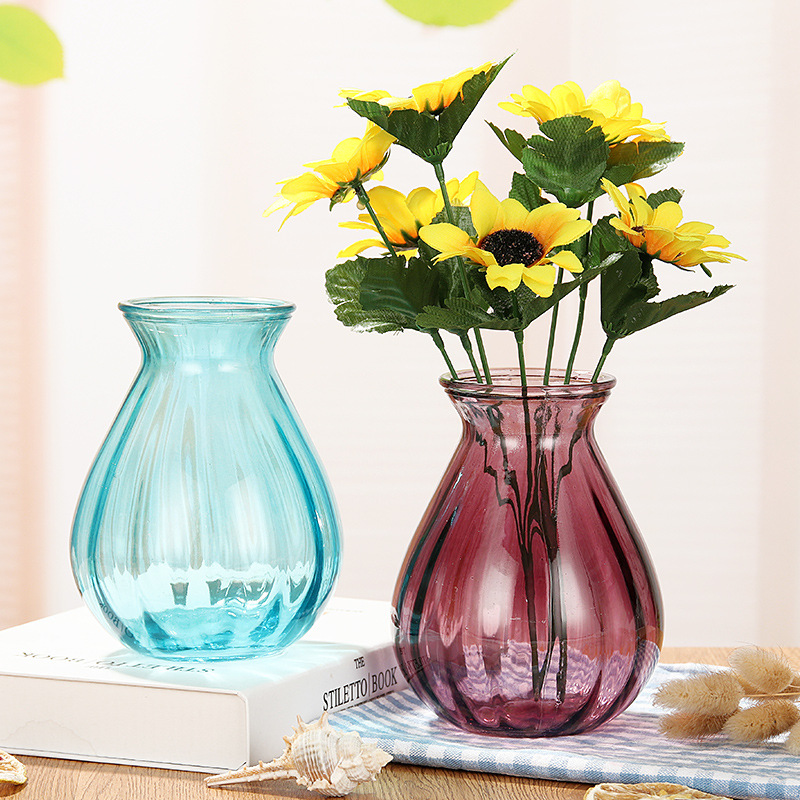 Glass vases, Nordic simple transparent vase, American decorative items, hyacinth flower vases, living room decorative items, small vases Application Scenario