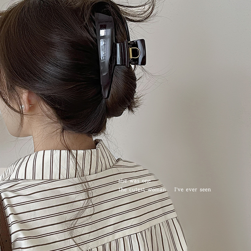 Island Whale Acetic Acid Hair Clip for Women 2025 New High-end back head coil Acetic acid grabber Summer hair clip accessory Application Scenario