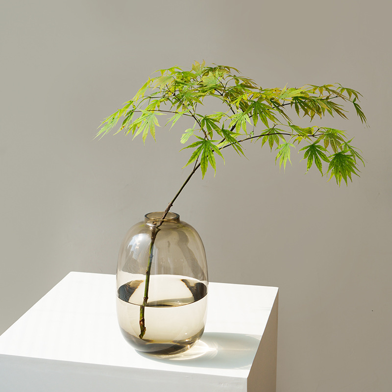 A transparent glass vase for living room flower arrangement, with a high-end look and a high level of appearance. A special fresh flower hanging clock for hydroponic snow willow and magnolia Specification drawing
