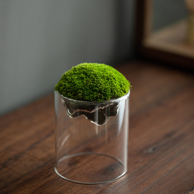 Transparent household distant mountain moss bottle, mini hydroponic plant bottle, thickened high borosilicate glass micro-landscape bottle for mountain viewing details Picture