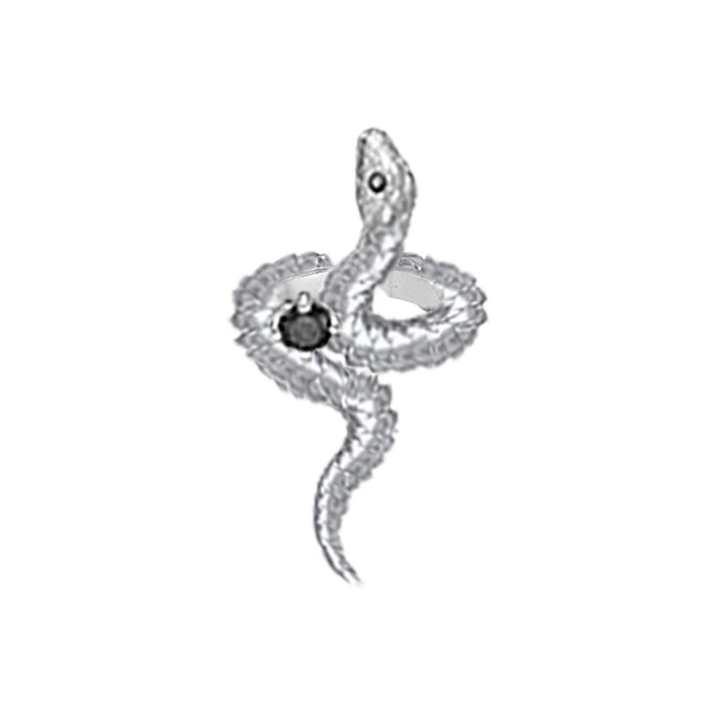 The design features a niche texture, dark style, snake, and a unique, fashionable open ring for women, exuding an ink-style charm. It's a trendy joint index finger ring Item Picture