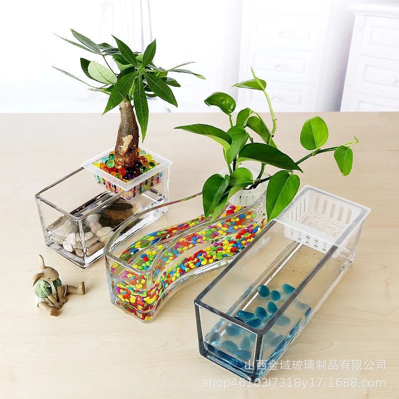 Simple desktop, transparent glass, long tank, fish tank, hydroponic flowerpot, oval shape, creative green plant hydroponic Application Scenario