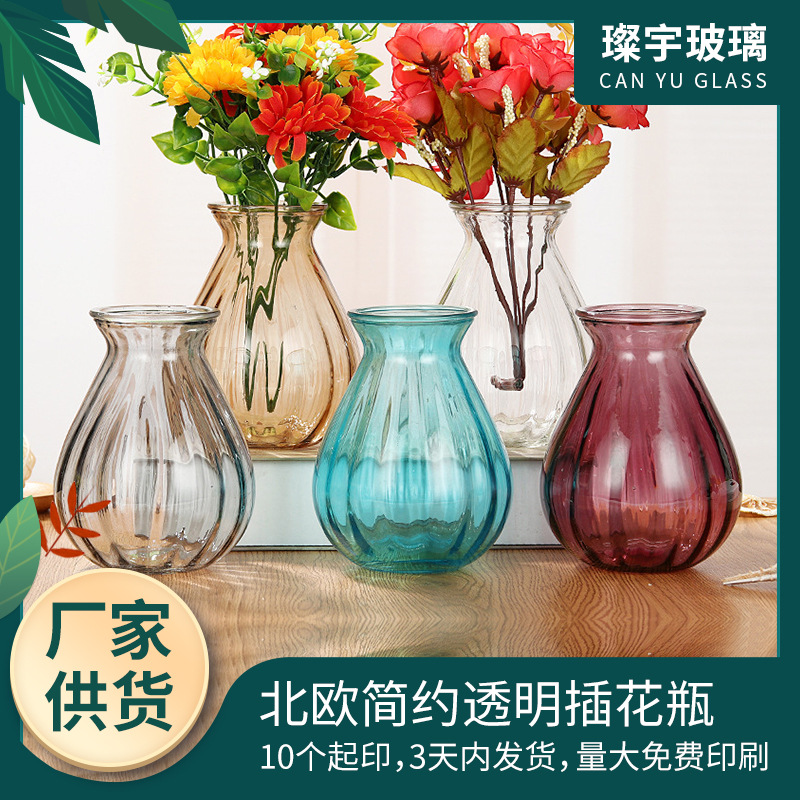 Glass vases, Nordic simple transparent vase, American decorative items, hyacinth flower vases, living room decorative items, small vases full figure