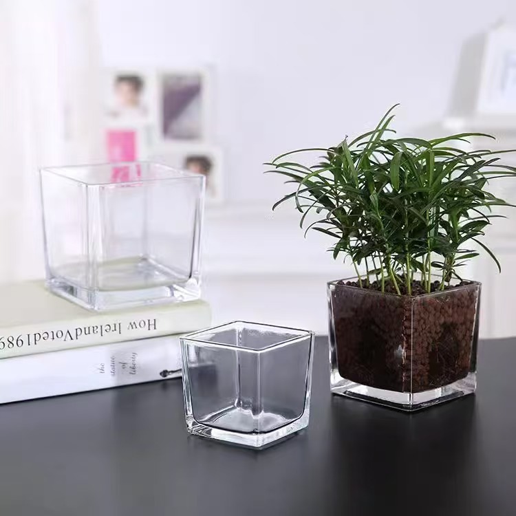 Factory wholesale of artificial glass pot accessories, green plants and succulents, Nordic round handle grass green plants, pothos potted glass tanks Application Scenario