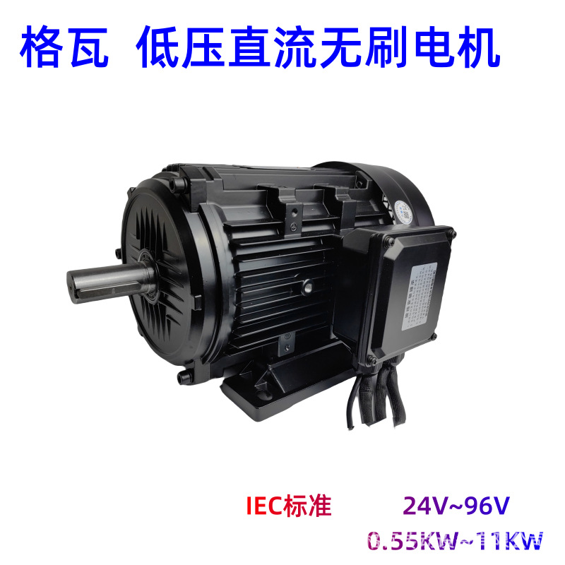 Gewa Y2 standard vertical and horizontal brushless motor transporter, 550W to 11KW low-voltage DC brushless motor Item Picture