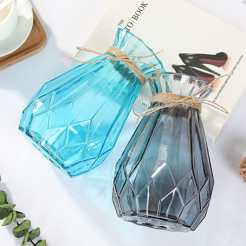 New creative Xinuo glass vases, dry vases, vase inserts, hydroponic vases, decorative ornaments, bottles Application Scenario