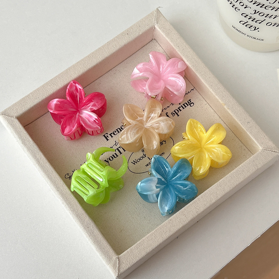 A sweet and refreshing light pink and green egg flower claw shark clip headpiece with a sweet and fresh bangs style, the same as that of celebrities Application Scenario