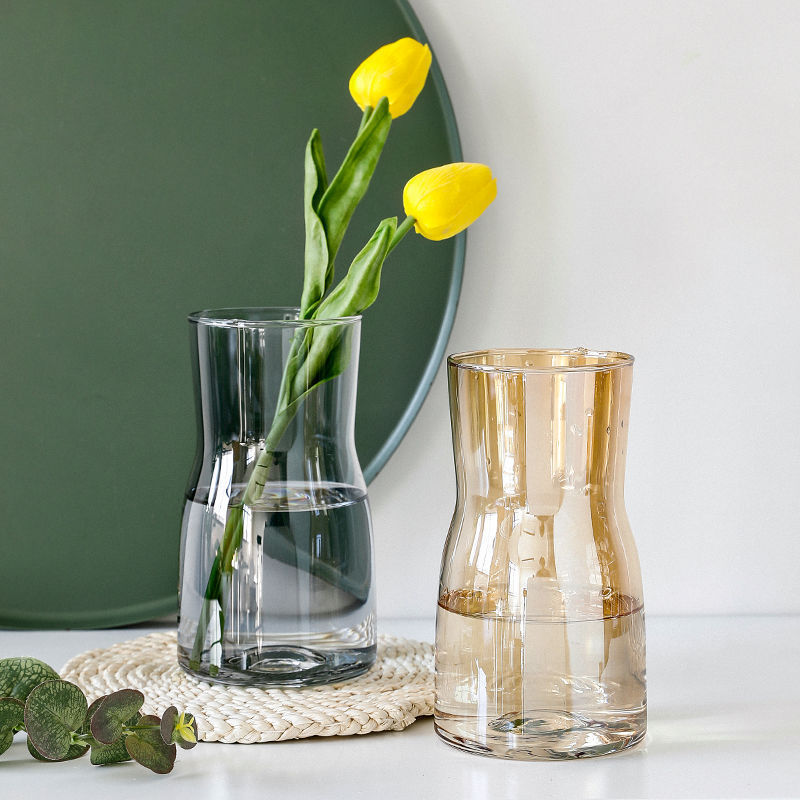Simple and gradually changing color transparent glass small vase, water-growing flower arrangement decorative item, Ins-style electroplated vase Specification drawing