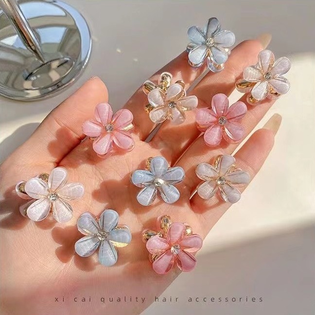 Bangs clip, fresh crystal small claw clip, hair clip, edge hair clip, cute little flower broken hair claw clip, hair braiding wonder Application Scenario