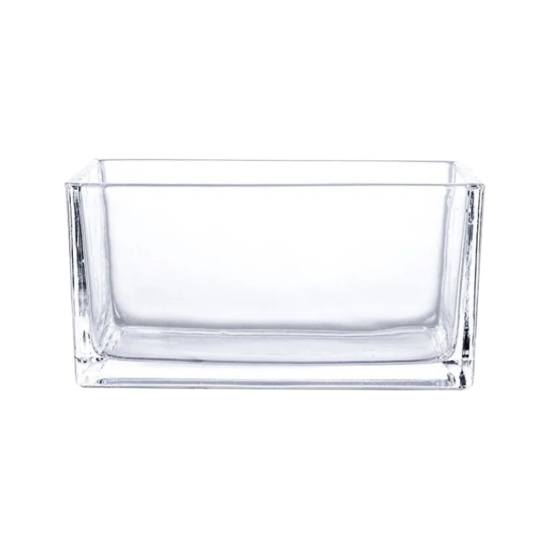 Simple desktop, transparent glass, long tank, fish tank, hydroponic flowerpot, oval shape, creative green plant hydroponic Item Picture