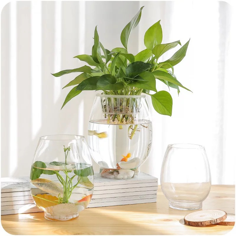 Simple dragon egg glass vase, transparent creative micro-landscape ecological bottle, hydroponic plant vase, home decorative item details Picture
