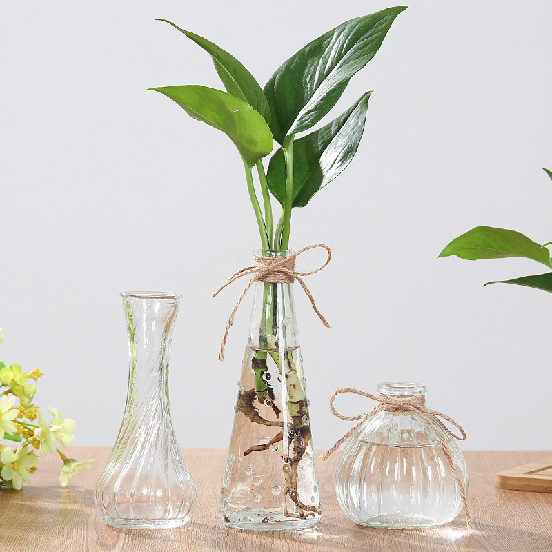 Nadi Dining table Raindrop Small Vase, Hydroponic plant glass vase ornament, Lucky Bamboo Creative hemp Rope Flower Arrangement Specification drawing