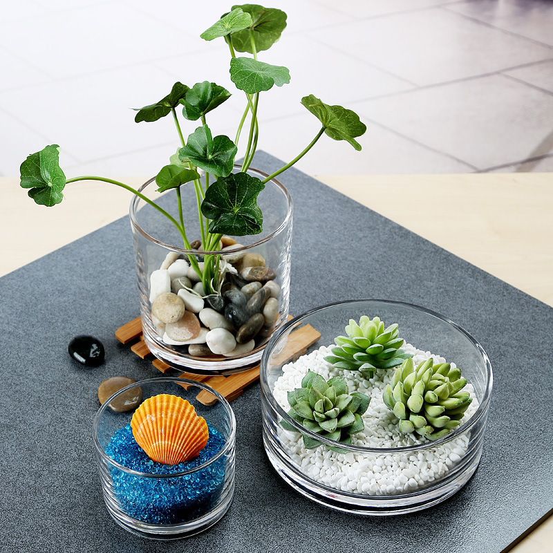 Factory wholesale of artificial glass pot accessories, green plants and succulents, Nordic round handle grass green plants, pothos potted glass tanks details Picture