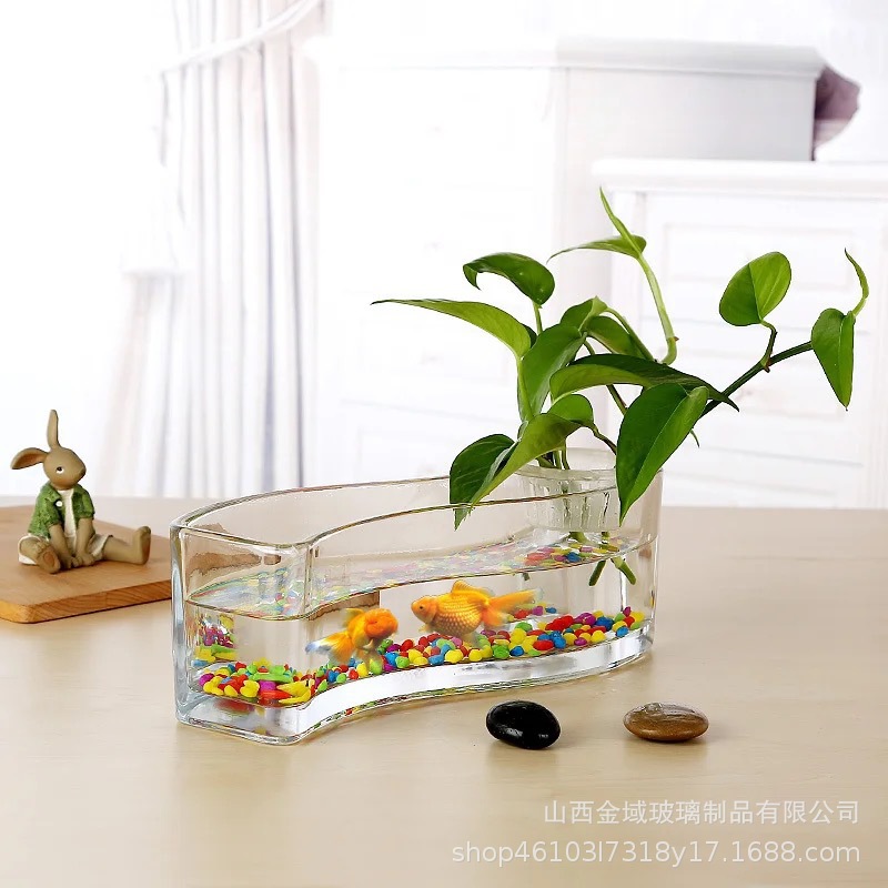 Simple desktop, transparent glass, long tank, fish tank, hydroponic flowerpot, oval shape, creative green plant hydroponic details Picture