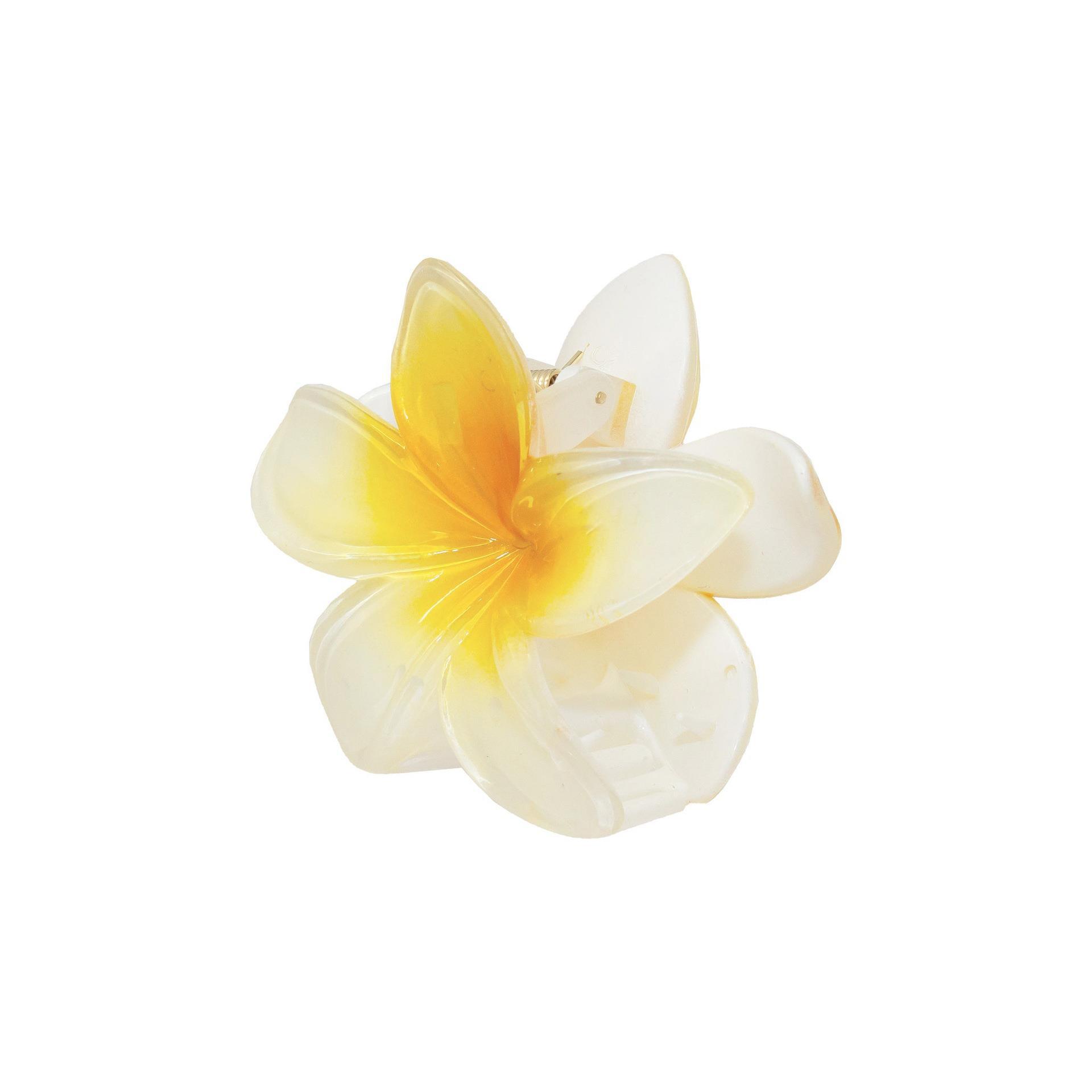 Cross-border colored frellia hair clips, new gradient grab clips, high-end flower petal hair clips, hair accessories, shark clips for women Item Picture