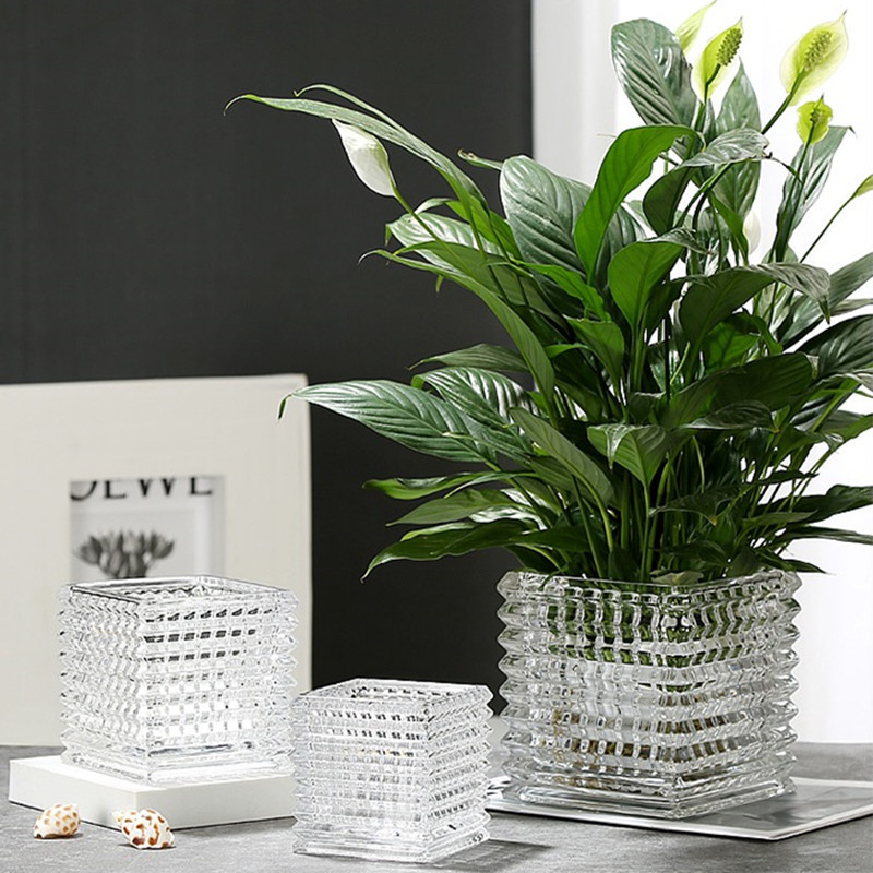 Brilliant crystal glass vase, hydroponic pothos square VAT, desktop flower arrangement vessel, display piece, ins square succulent Specification drawing