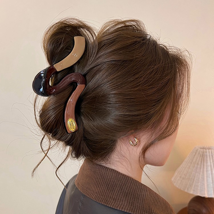 French minimalist color-blocking hair clip, large wavy line grab clip, high-end gold label shark clip, back head plate hair clip Application Scenario