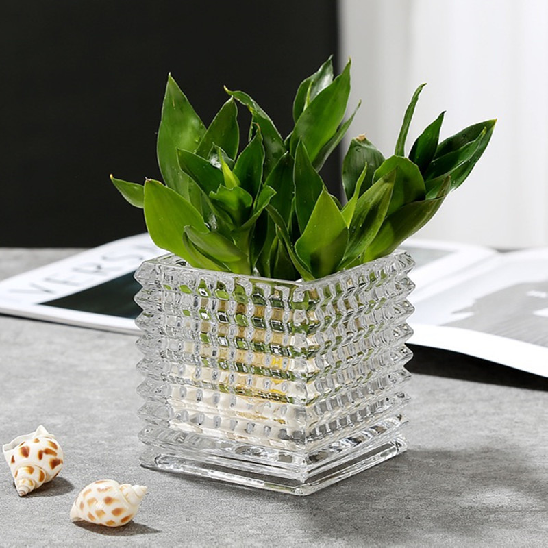 Brilliant crystal glass vase, hydroponic pothos square VAT, desktop flower arrangement vessel, display piece, ins square succulent full figure
