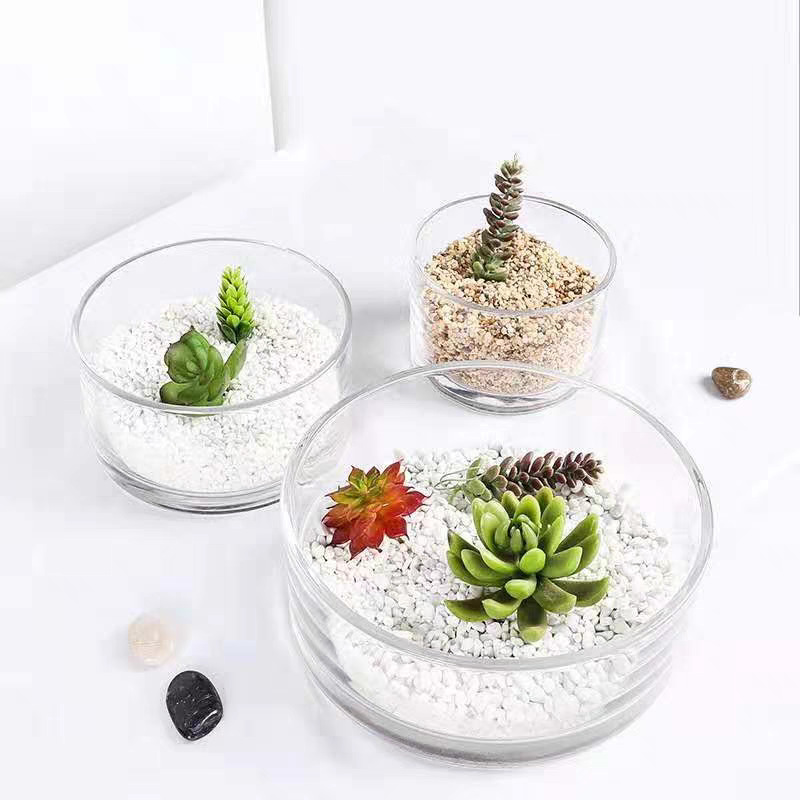 Thickened transparent round straight tube glass vases, hydroponic vessels, lotus vases, succulent short flowerpots wholesale, turtle vases, fish tanks details Picture