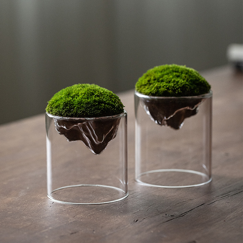 Transparent household distant mountain moss bottle, mini hydroponic plant bottle, thickened high borosilicate glass micro-landscape bottle for mountain viewing full figure