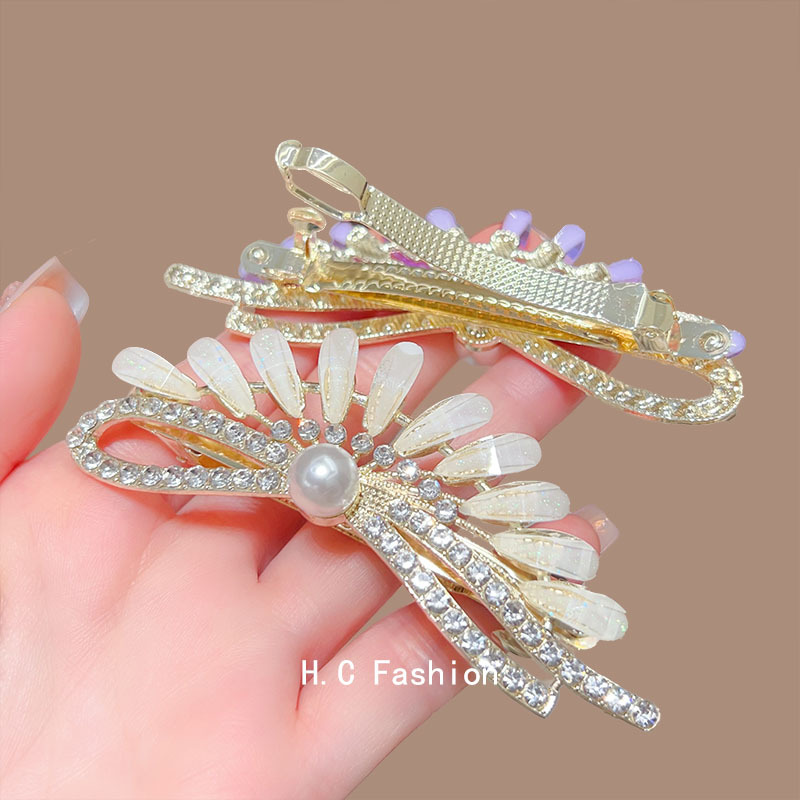 New color fan-shaped spring clip for women, a semi-tied hair bun for the back of the head, a high ponytail hair clip accessory Application Scenario