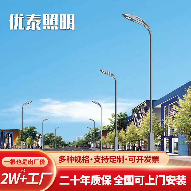Parallel development, direct sales of dual-head LED street lamps, outdoor waterproof street lamps, single and double arm led street lamps full figure