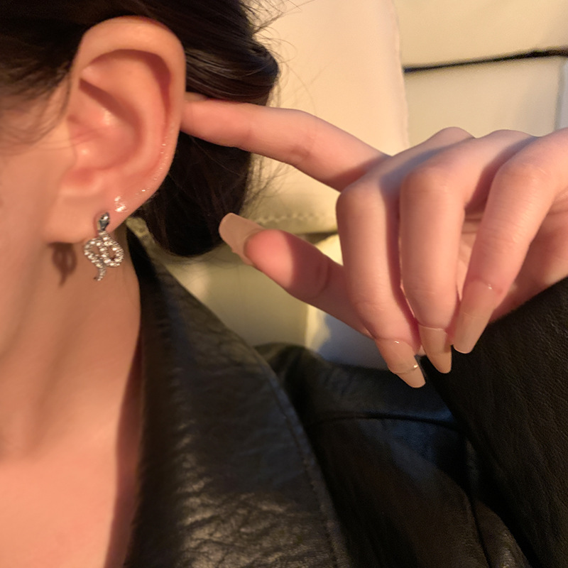 925 Silver needle snake-shaped stud earrings for women in an ins style, light luxury, unique, niche and high-end feel, versatile zircon earrings and earrings wholesale Specification drawing