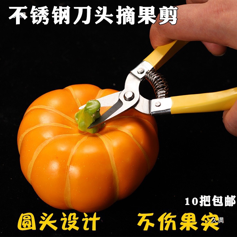 Luoding stainless steel fruit scissors, new medium-sized citrus fruit scissors, round-head citrus fruit picking scissors, scissors for fruit picking Specification drawing