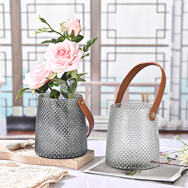 ins Nordic-style handle vase, new Douyin large-mouth vase, hydroponic glass vase for home decoration Application Scenario
