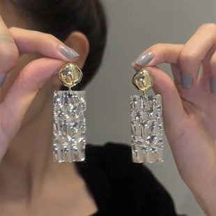 Personalized and versatile, exaggerated metallic stud earrings, trendy and fashionable for women on Instagram, versatile, and popular cross-border earrings and earrings from Europe and America Application Scenario