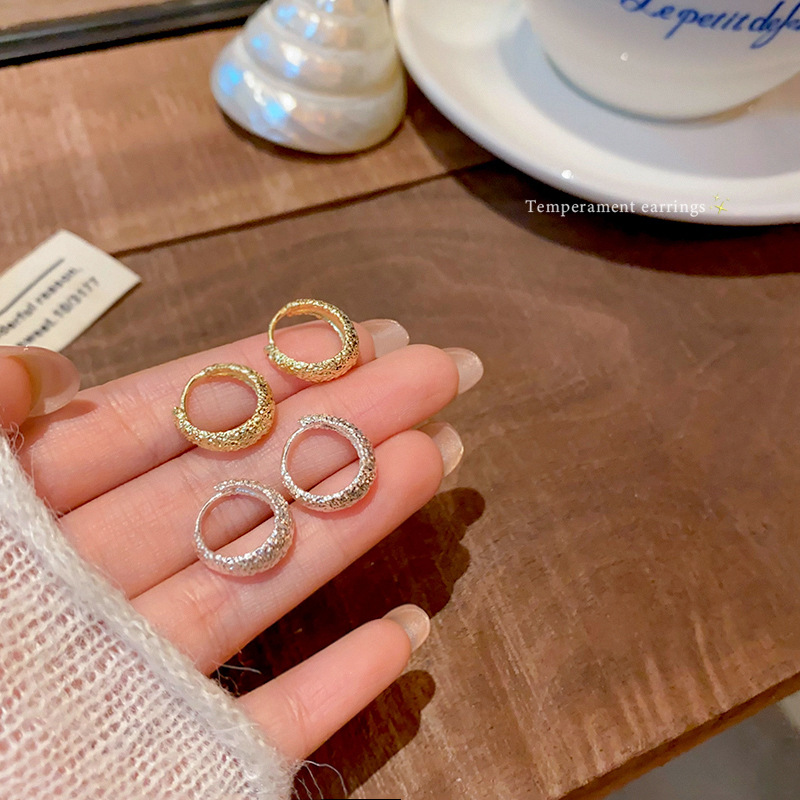 Metal cold frosted earring earrings for women, a new 2025 bestseller with a high-end feel and unique style full figure