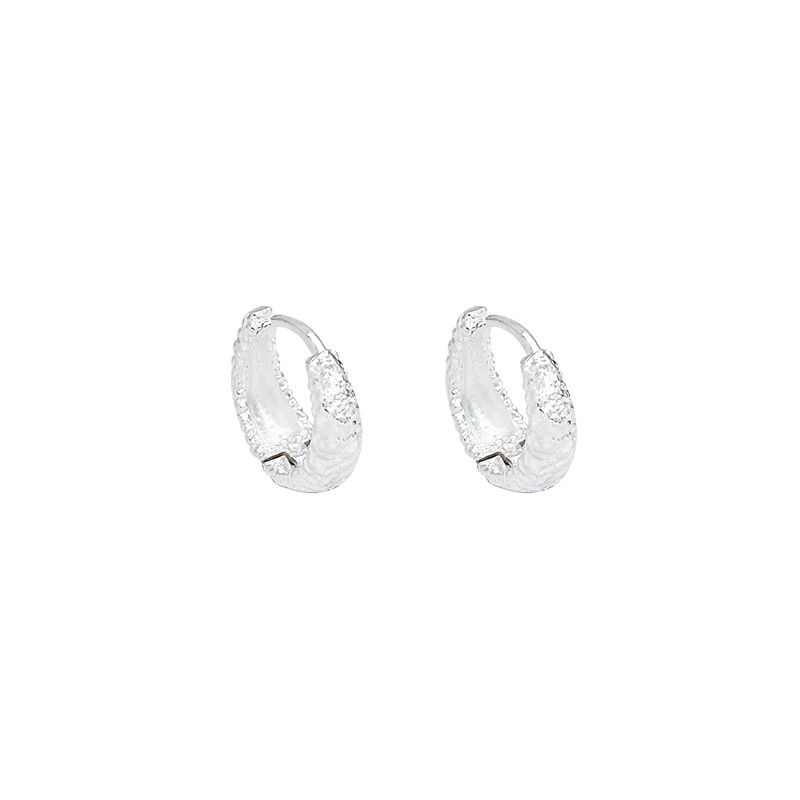 Metal cold frosted earring earrings for women, a new 2025 bestseller with a high-end feel and unique style Item Picture