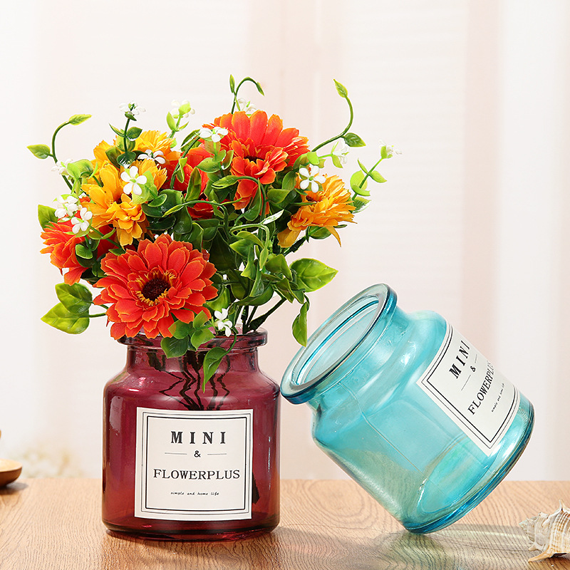 Nordic ins vase mini hydroponic fresh flower pothos vase Transparent glass dry vase Transparent vase Application Scenario