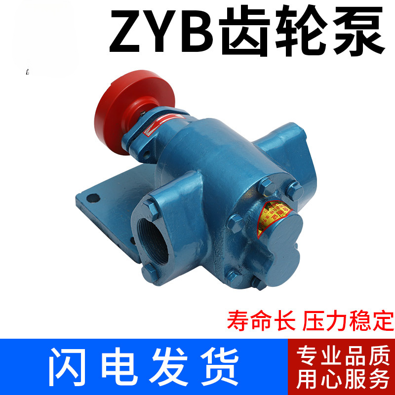 High-temperature gear oil pump head ZYB- Small oil gear pump head, self-priming high-pressure gear oil pump, soybean residue oil pump details Picture