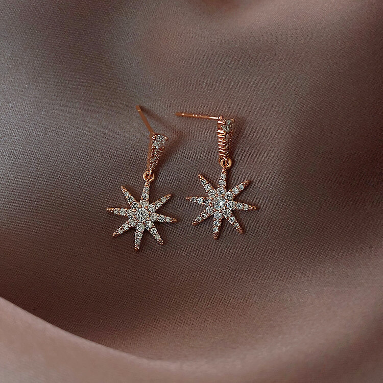 Korean-style diamond-encrusted snowflake pendant earrings for women, a light luxury high-end design, a niche Instagram exquisite and versatile fashionable ear accessory Application Scenario