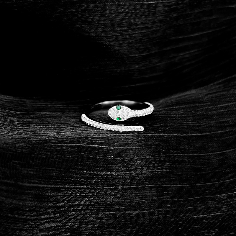 【 Non-Fading 】 Open snake-shaped titanium steel cold style dance ring for men and women, trendy and simple food rings on Instagram Application Scenario