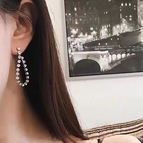 Korean style, high-end and elegant, teardrop-shaped rhinestone earrings, long, trendy, light luxury, high-end zircon earrings for women details Picture