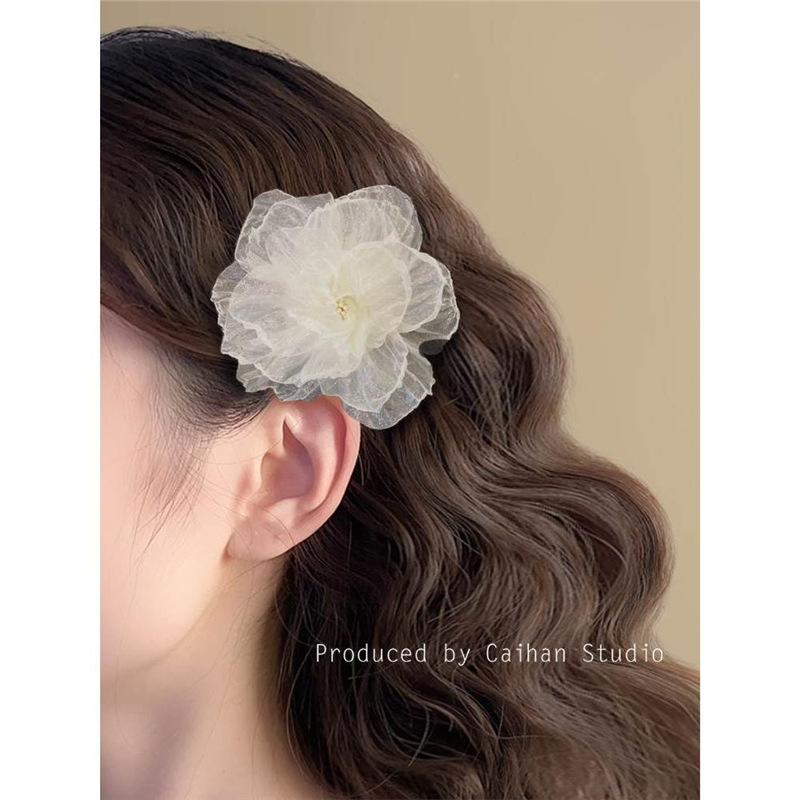 Mesh hair clips with a floral atmosphere, women's hair accessories for summer 2025, new bangs hair clips, super ethereal and pure, wind edge clips details Picture