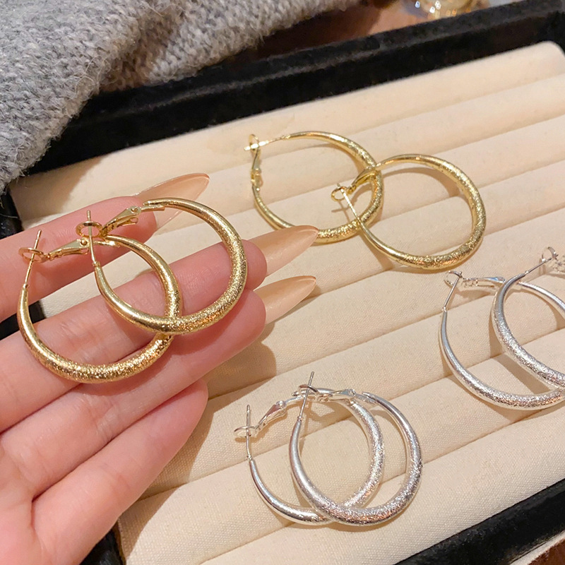 High-end matte starry sky silver ear rings, simple and elegant for women, versatile and personalized earrings and accessories wholesale details Picture